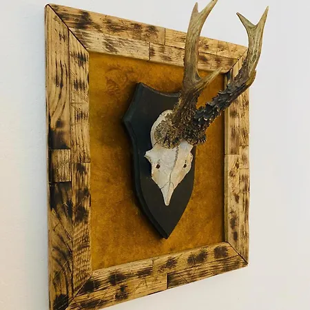 Appartement Michaelas *