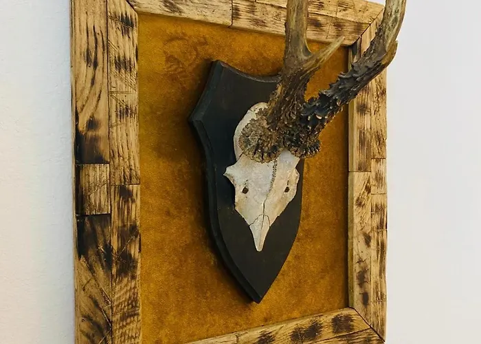 Apartamento Michaelas *